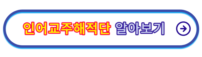 인어교주해적단