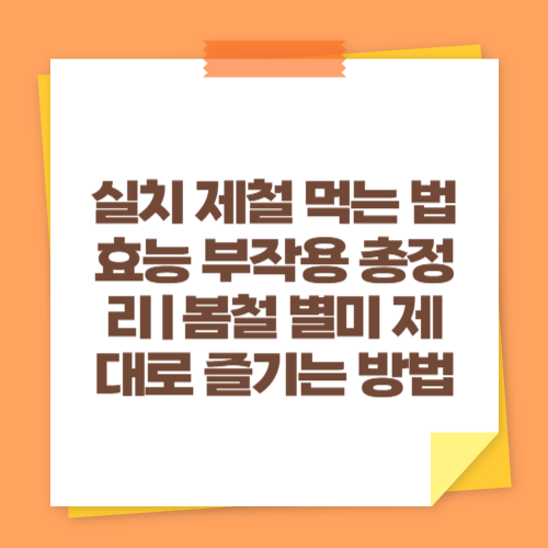 실치 제철 먹는 법 효능 부작용 총정리|봄철 별미 제대로 즐기는 방법