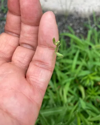 성가대 연습전 기도문 모음 4가지 성경구절 인용 포인트_14