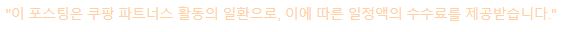빈대퇴치 스팀청소기 건조기 스타일러 추천 제품