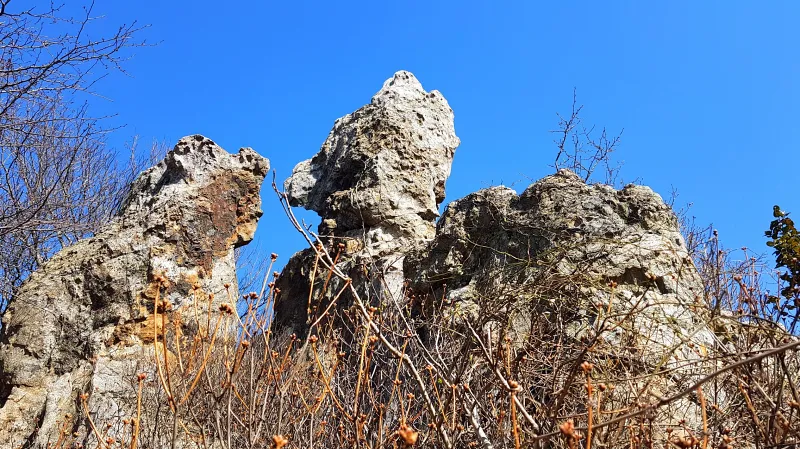 해남 달마산