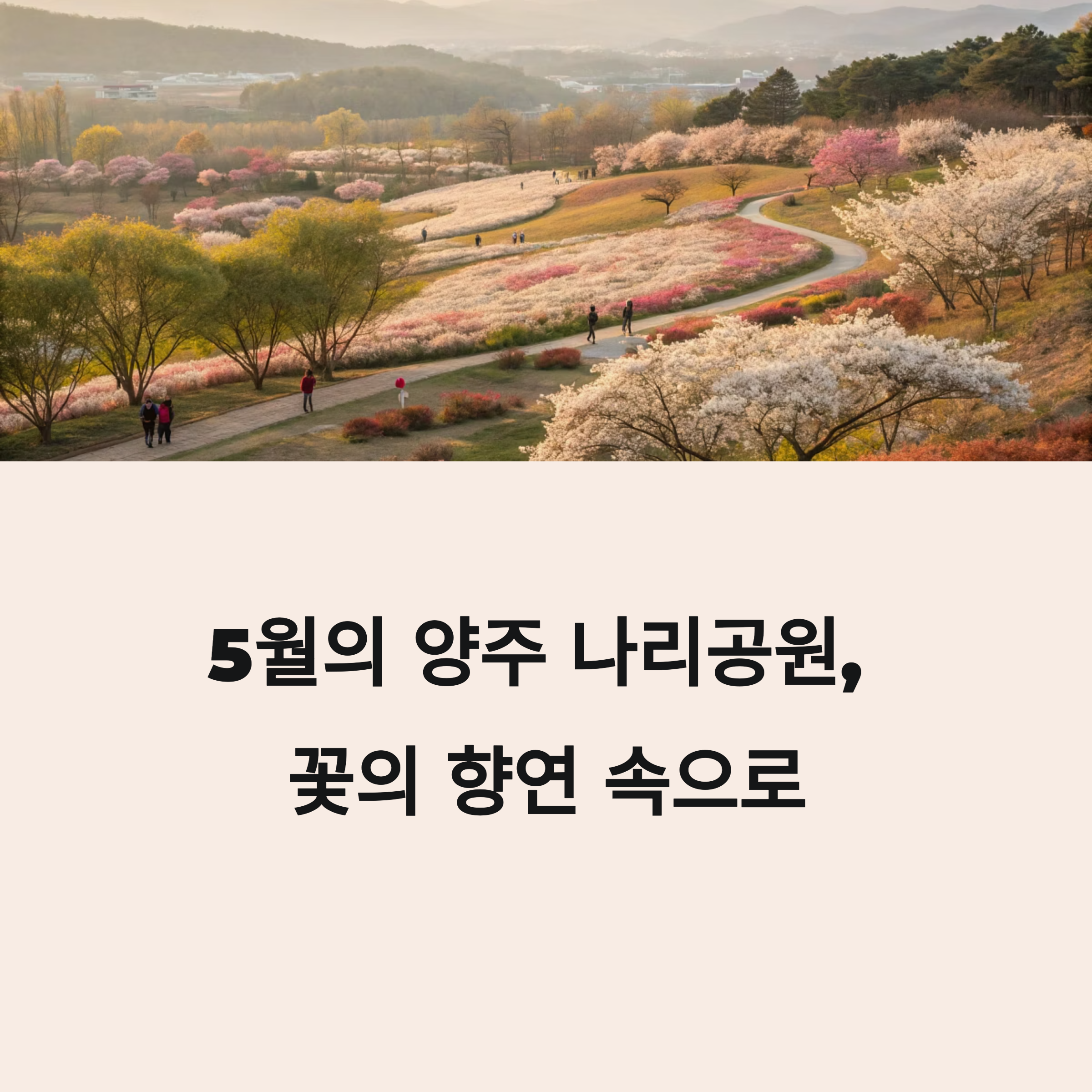 양주 나리공원, 5월 말부터 시작되는 꽃의 향연