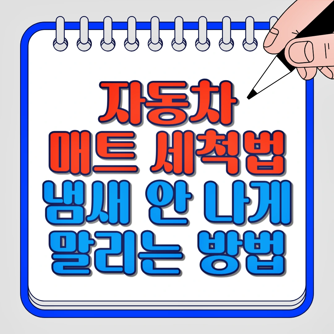 자동차 매트 세척법 냄새 안 나게 말리는 방법