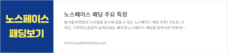 노스페이스 고어텍스 제품