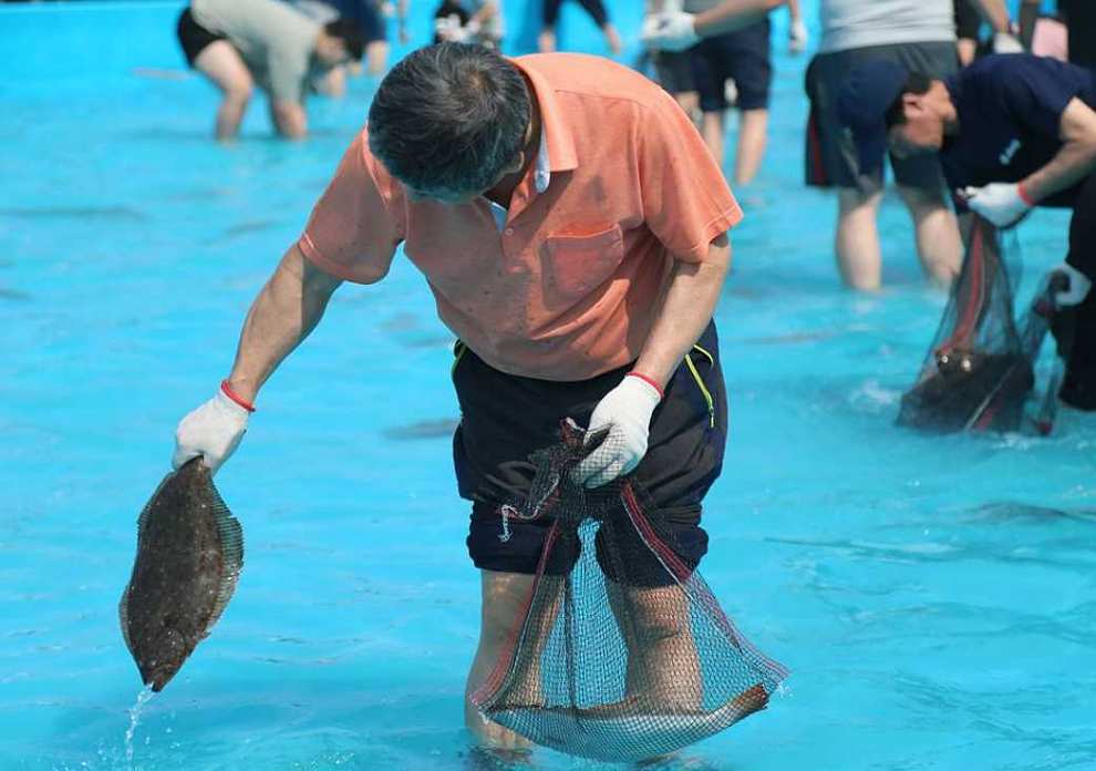 서천 자연산 광어 도미 축제 기본정보