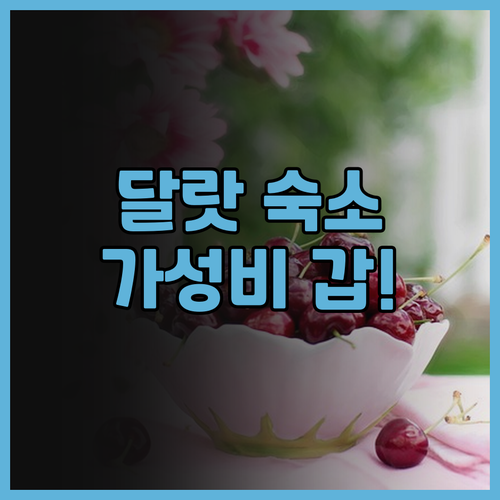리버 프린스 호텔 후기 가성비 최고!