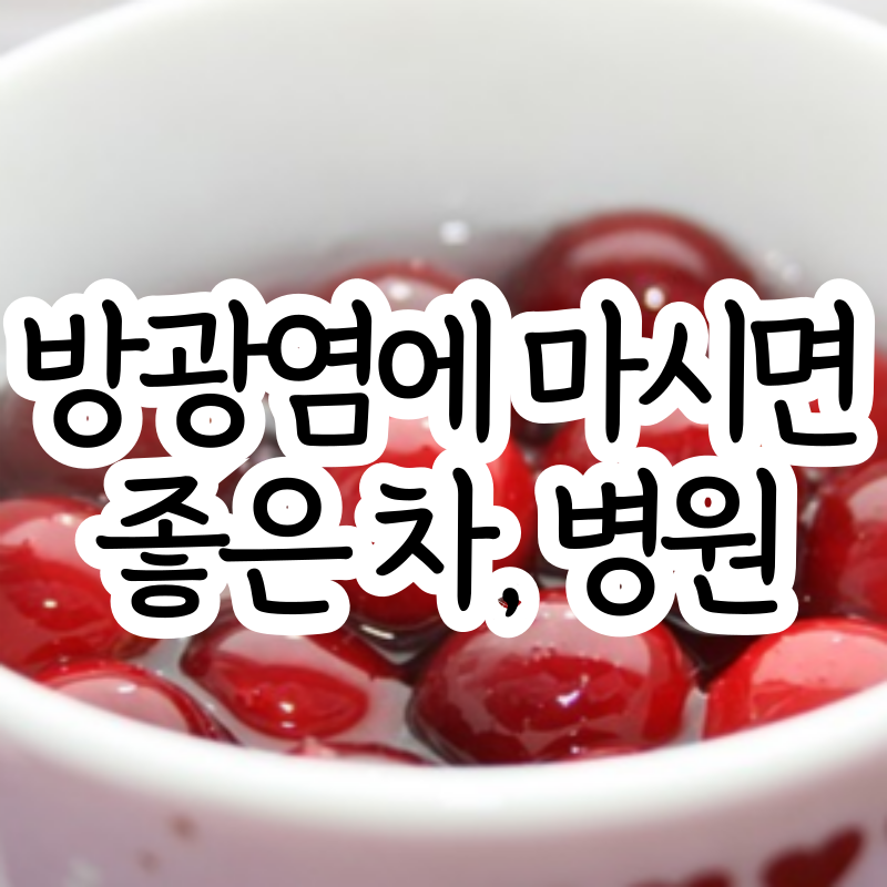 방광염에 좋은 차 방광염 병원