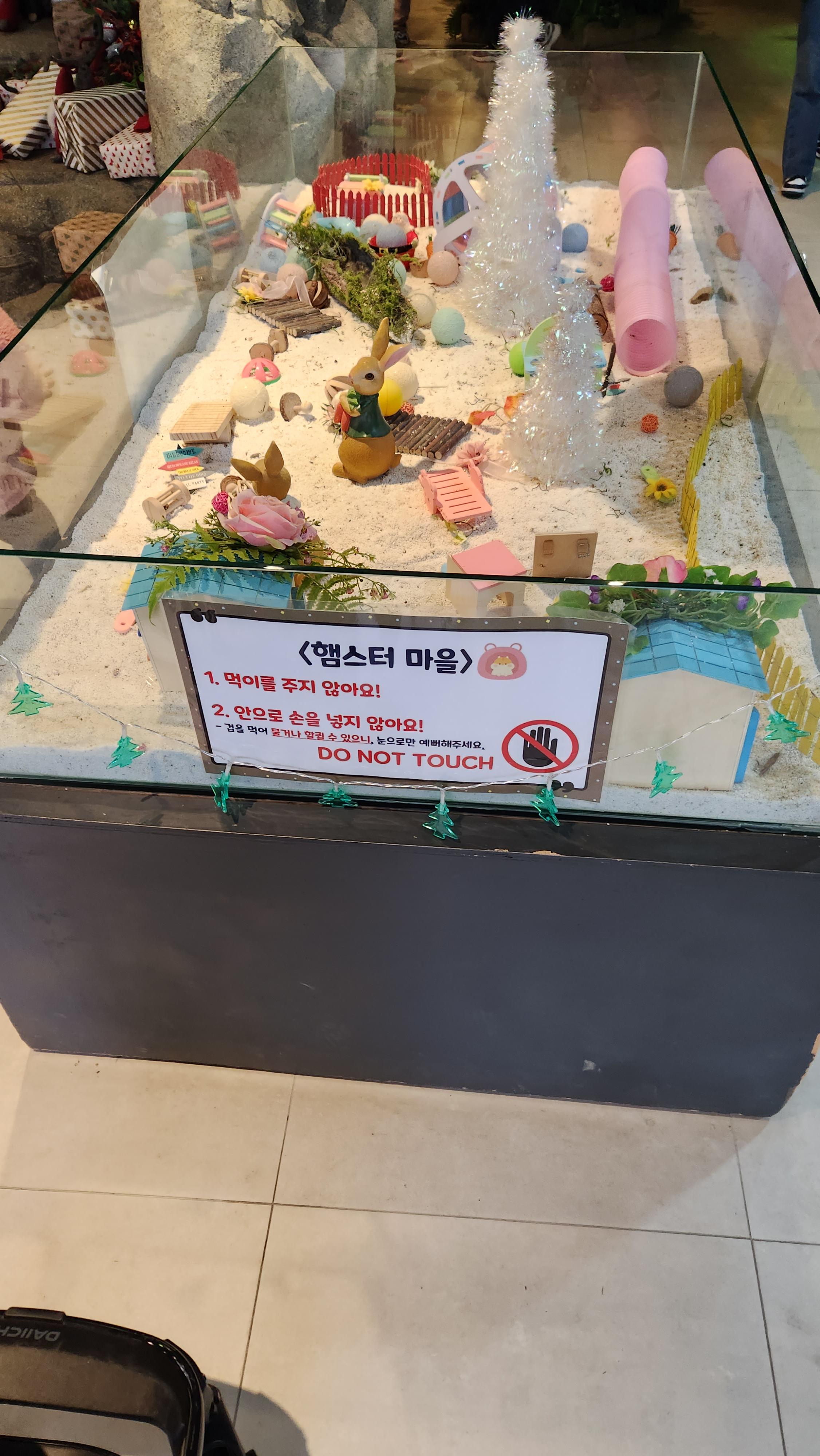 대구-네이처파크