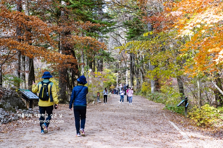 평창 가볼만한곳