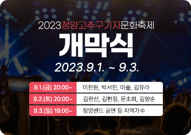 청양고추구기자축제