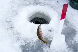 2025 빙어낚시 축제 일정 및 장소