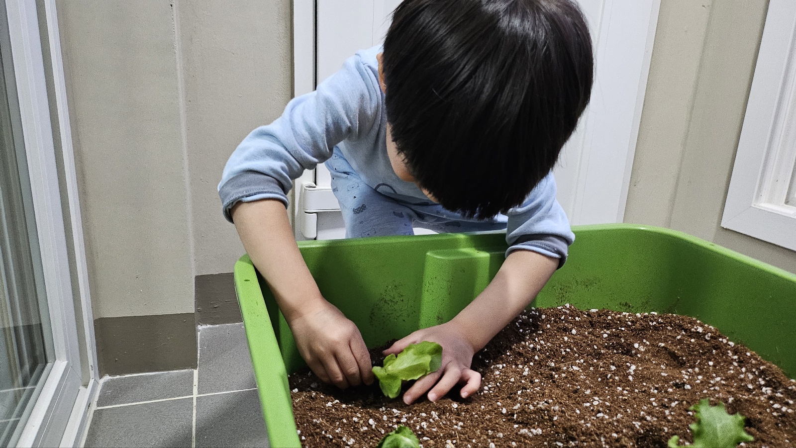 2025년 오산시 도시농업 힐링그린텃밭 - 지원부터 수령까지