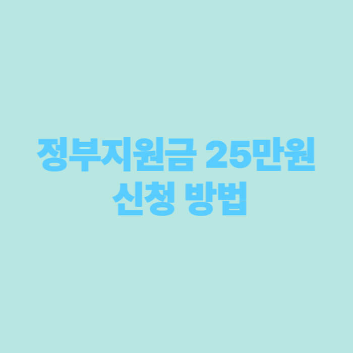 정부지원금 25만원 신청 방법