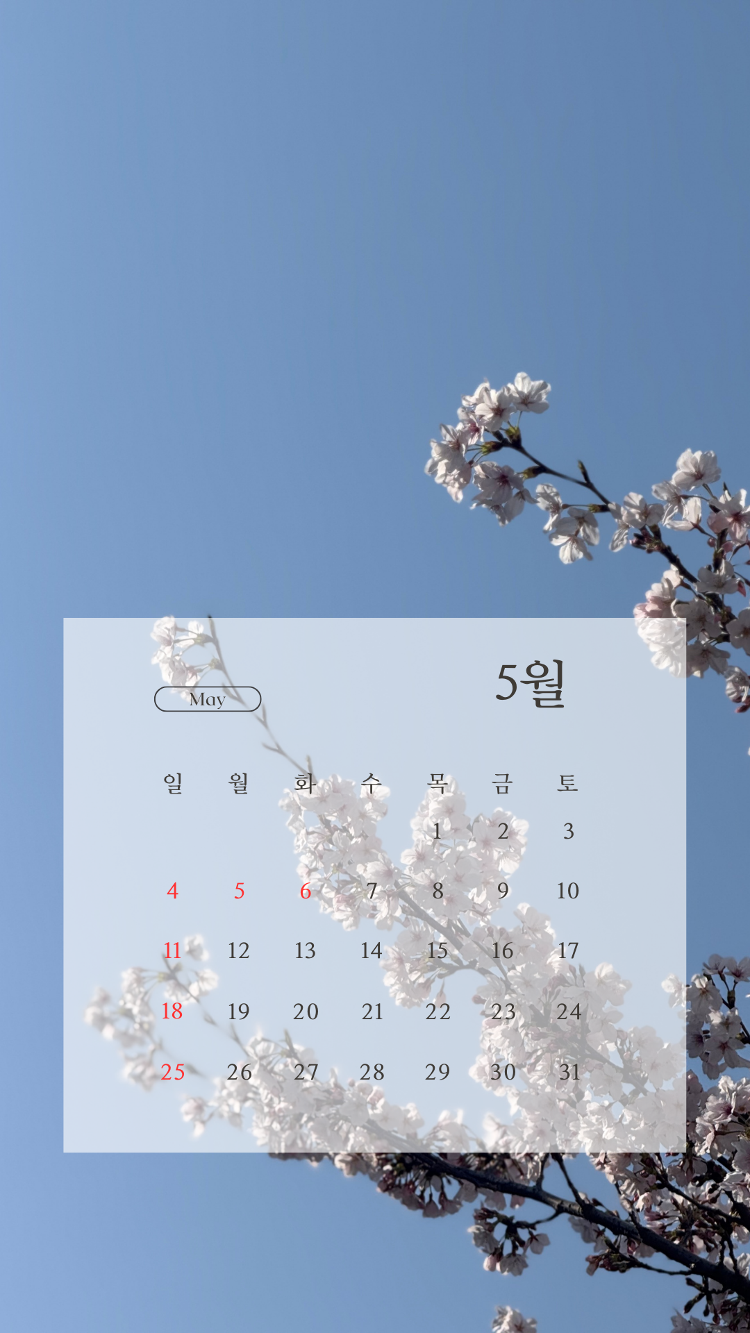 2025년 5월 달력 스마트폰 배경화면 이미지 그림 사진 모음