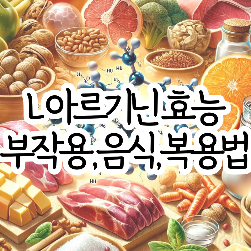 L아르기닌 효능 부작용 복용법