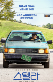 스텔라