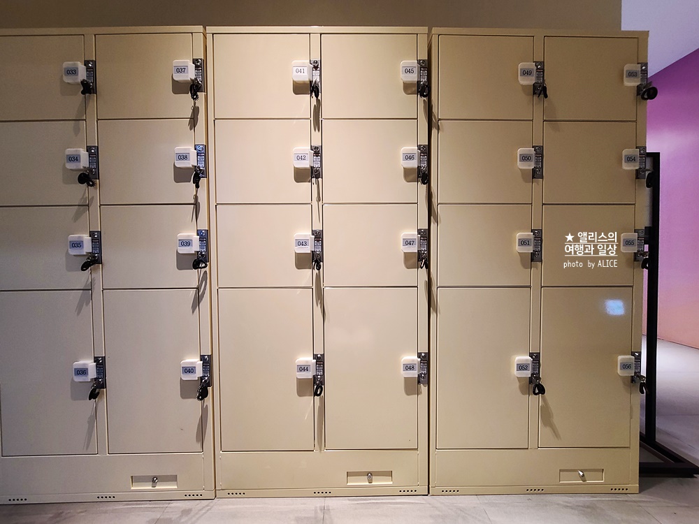 플라워바이네이키드 홍대 놀거리 입장료 23% 할인예매방법, 즐기는 꿀팁 네가지