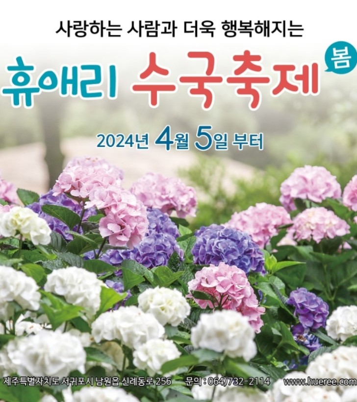 휴애리 봄수국축제