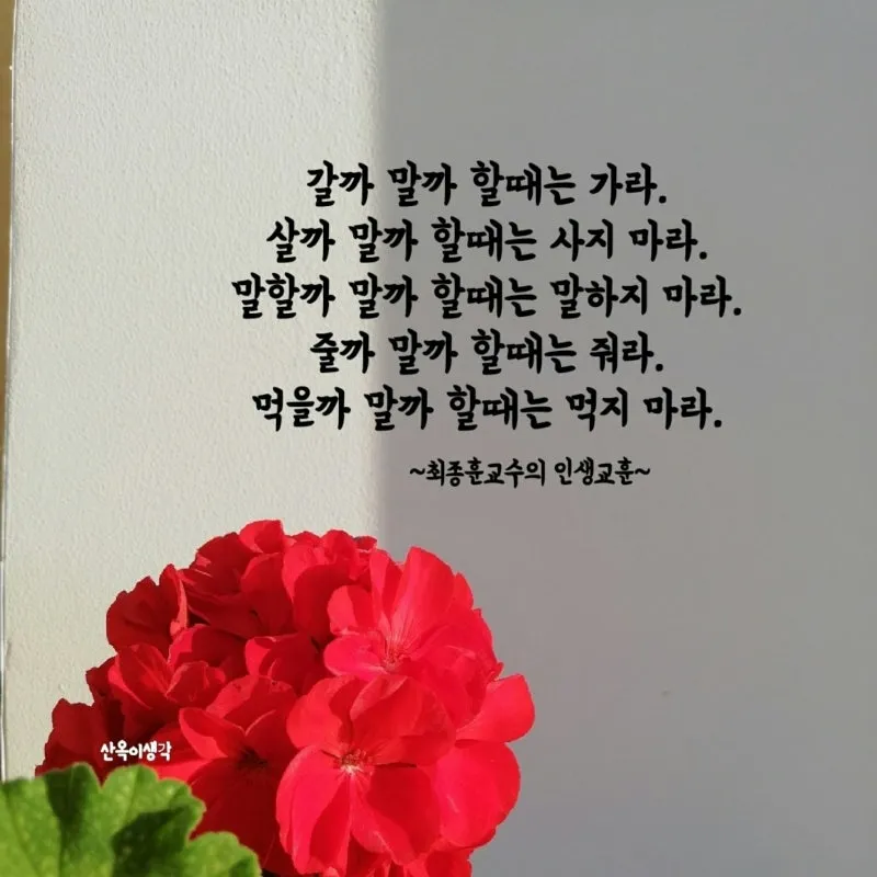 좋은 글귀 감성 글귀 이미지 일러스트 100선_6