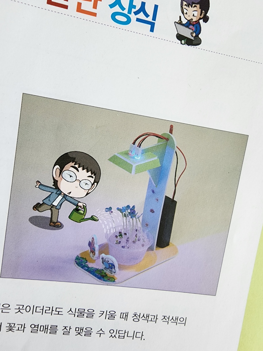 내일은발영왕책마지막페이지에 실험키트만들기 설명서가 적혀있어요. 식물등을 이용한 식물키우기 완성된모습사진이에요