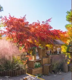 화담숲-입장료-할인-운영시간