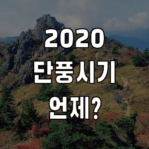 2020 단풍시기 명소