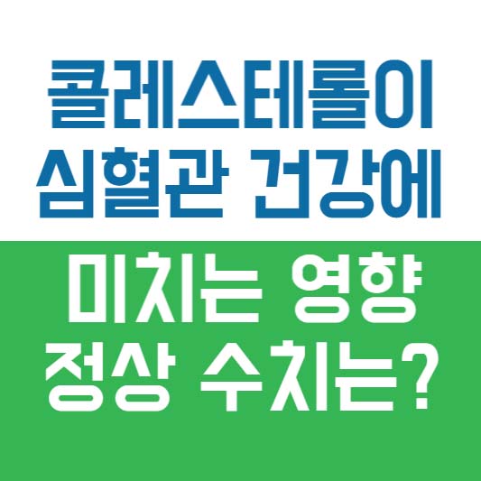콜레스테롤이 심혈관 건강에 미치는 영향