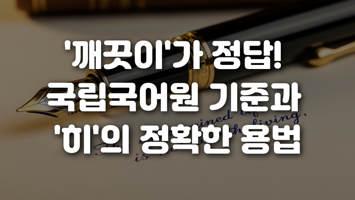 깨끗이 가 정답 국립국어원 기준과 히 의 정확한 용법