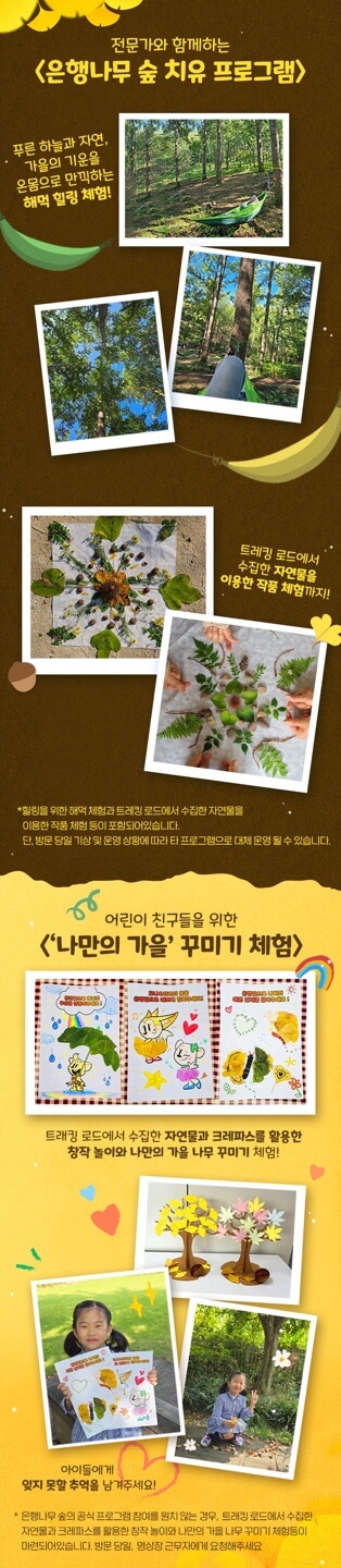 에버랜드 은행 나무 숲 예약 방법, 주차 정보