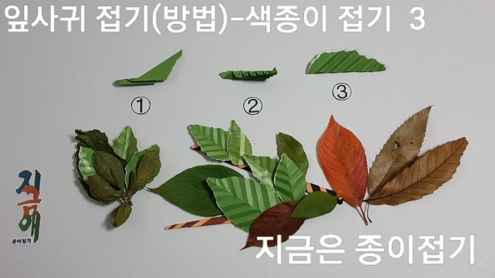 잎사귀의 잎맥을 표현하는 설명입니다.