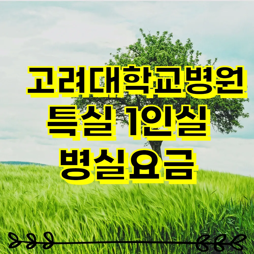 고려대학교병원 특실 1인실 병실요금