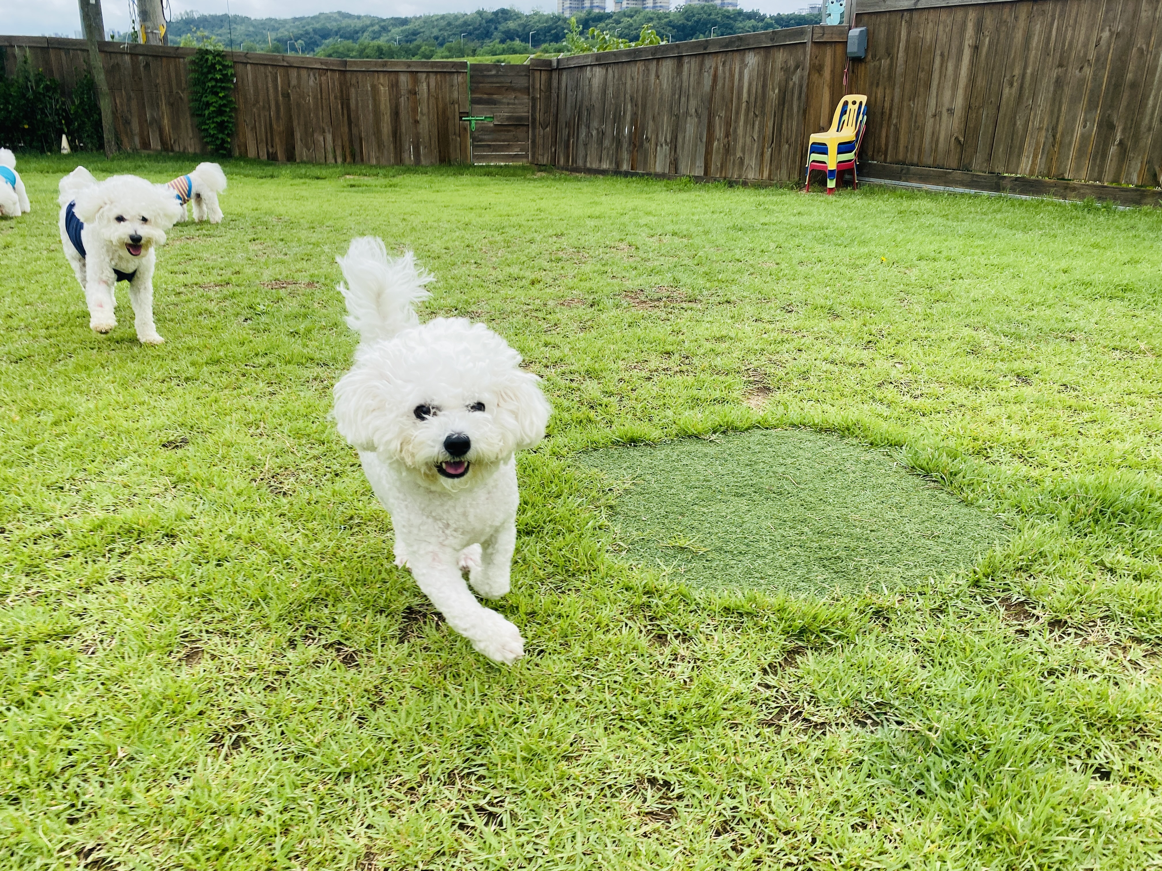 공인중개사 동차합격 공부방법