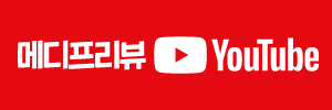 티스토리 블로그 디자인 : 메디프리뷰 2