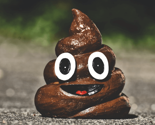 똥 지리는 꿈해몽 풀이