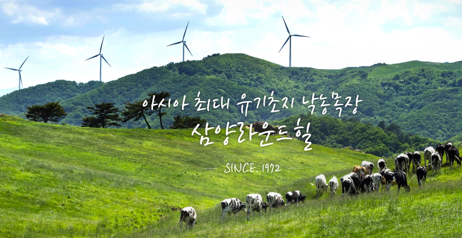 삼양목장 사진