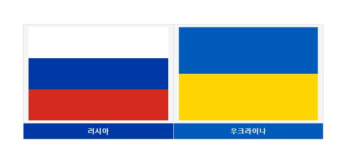 러시아 우크라이나 전쟁 이유 요약 (9)