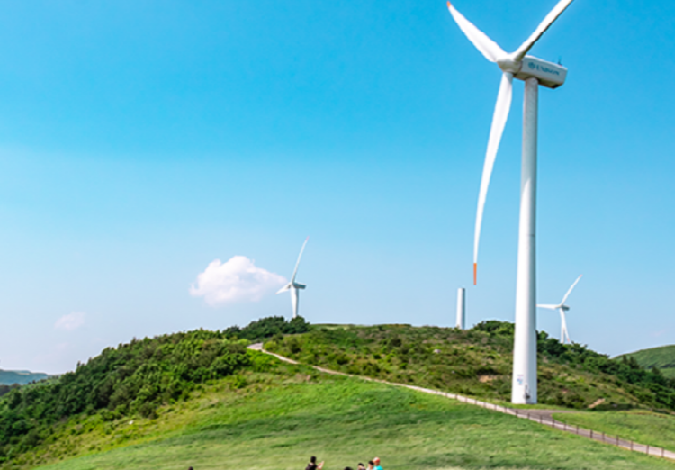 대관령 하늘목장