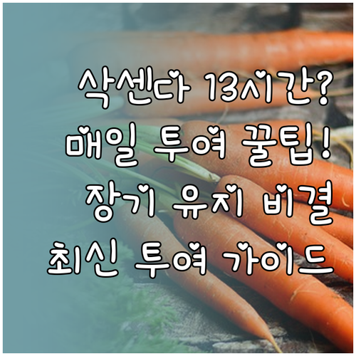 삭센다 주사 반감기 13시간 일일 투..