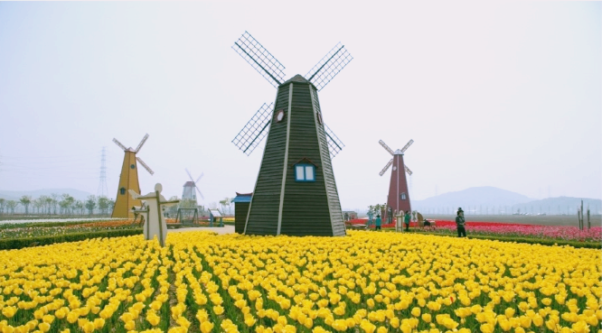 바다향기테마파크