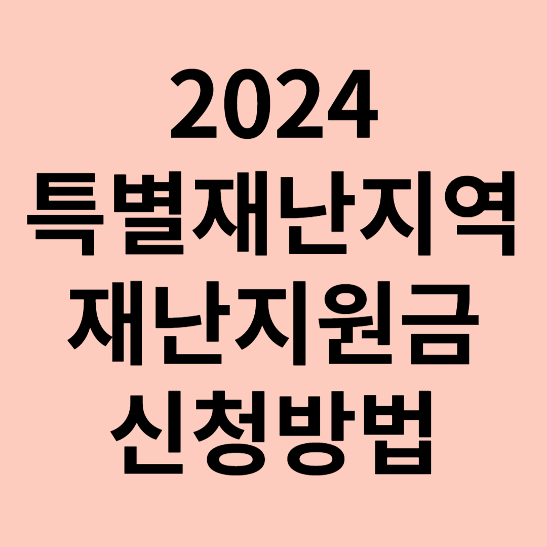 특별재난지역 재난지원금