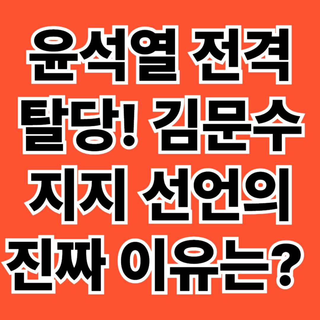 📌 윤석열 전격 탈당! 김문수 지지 선언의 진짜 이유는? (영상 있음) - 대표이미지