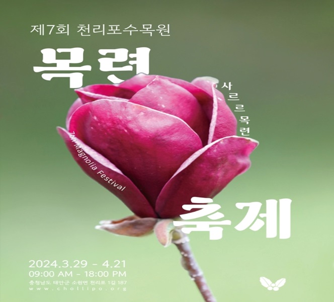 천리포수목원 목련축제 (출처:한국관광공사)