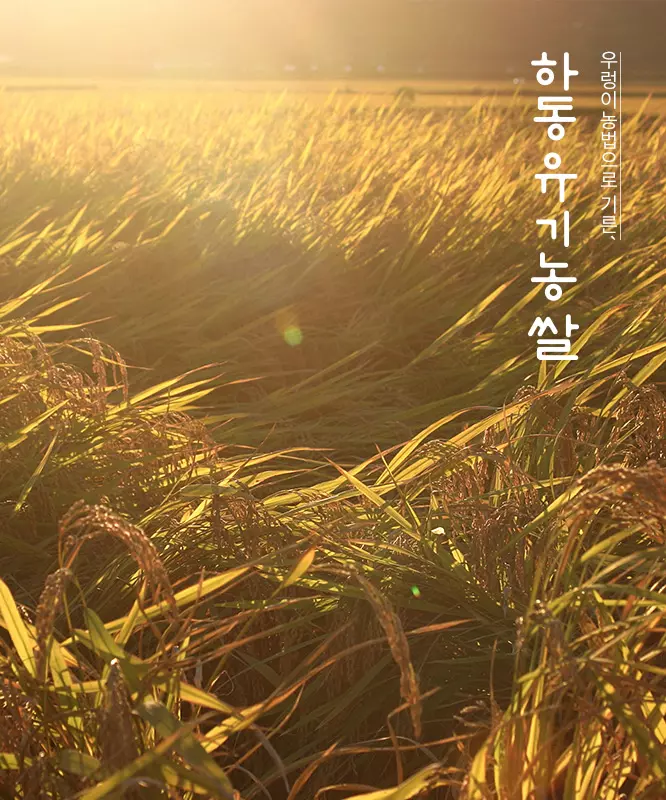 에코맘의산골이유식 살펴보기 2