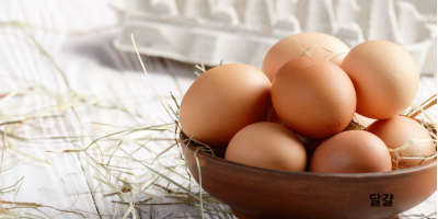달걀