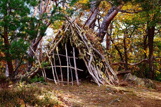 임시 대피소에서의 응급 처치법(외상, 동상, 벌레)