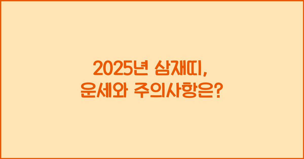 2025년 삼재띠