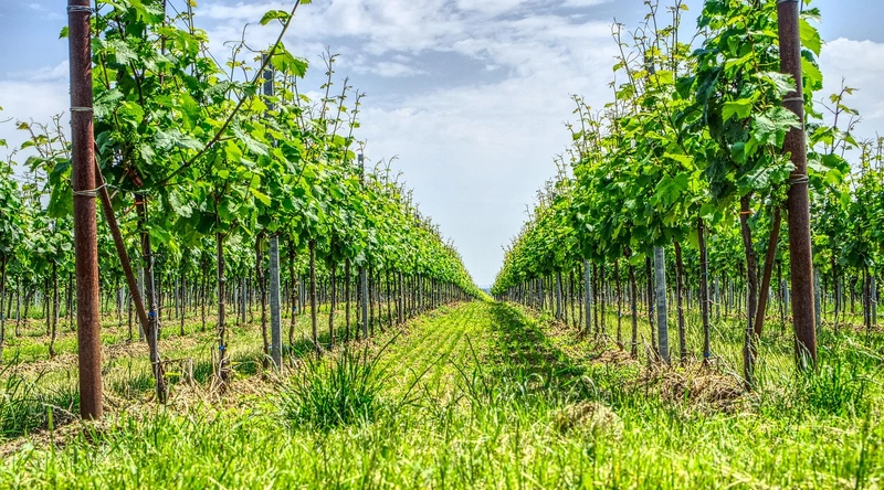 구조와 피복 설계의 차이점