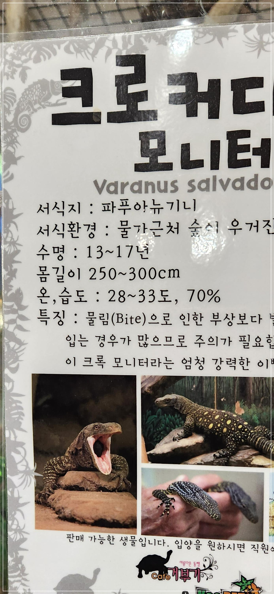 롯데시네마-판교-주차-가볼만한-곳