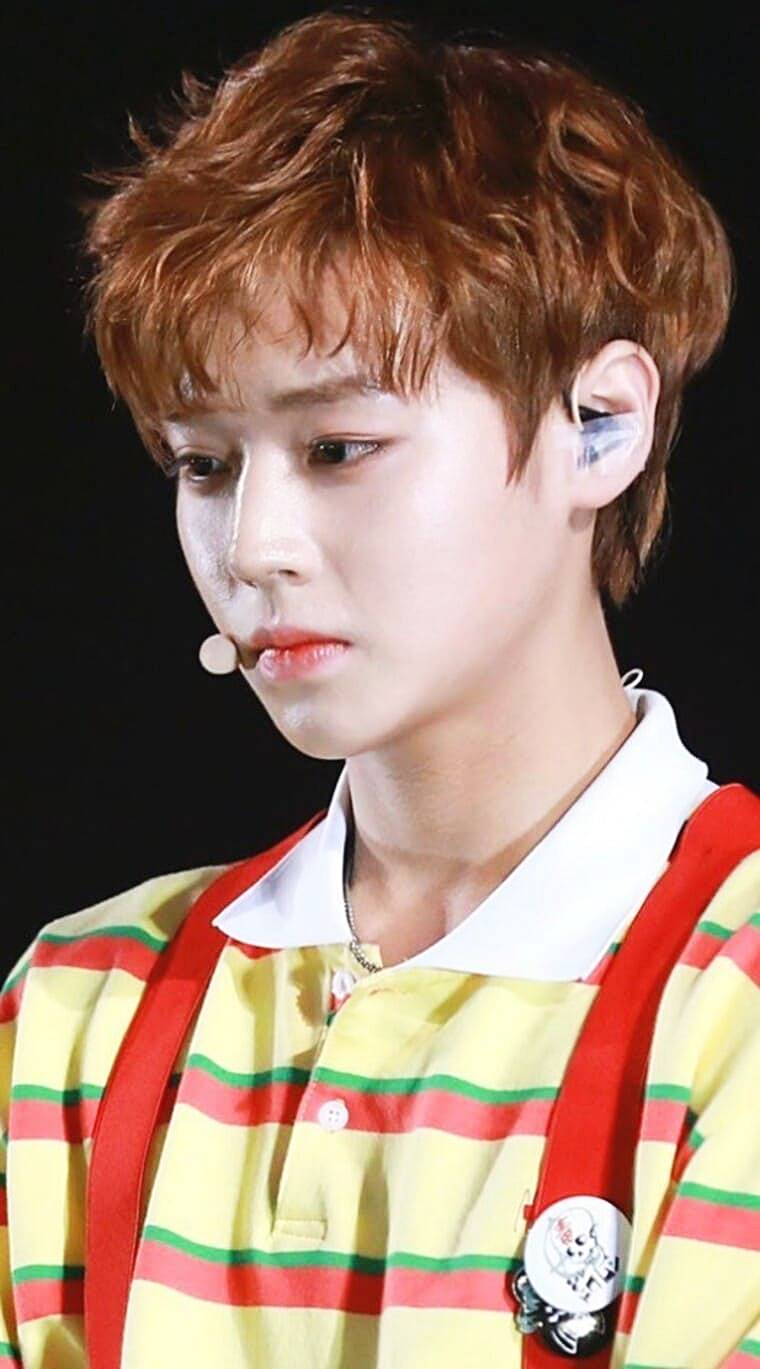 배우-박지훈