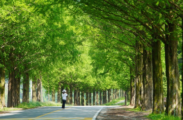 부모님과 함께하는 2025 봄 국내 여행 (축제, 힐링, 여행 코스)
